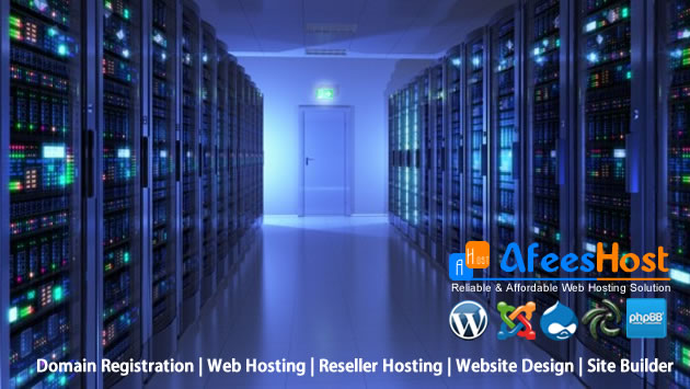 Website Design